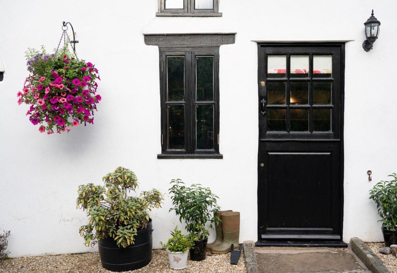 Woodview - Cosy 1840S Cottage In Chew Valley And Mendip Aonb Compton Martin 외부 사진