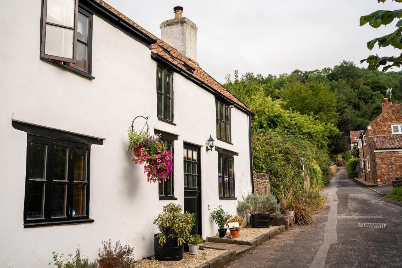 Woodview - Cosy 1840S Cottage In Chew Valley And Mendip Aonb Compton Martin 외부 사진